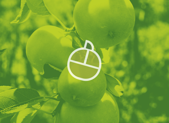 picture of green apples