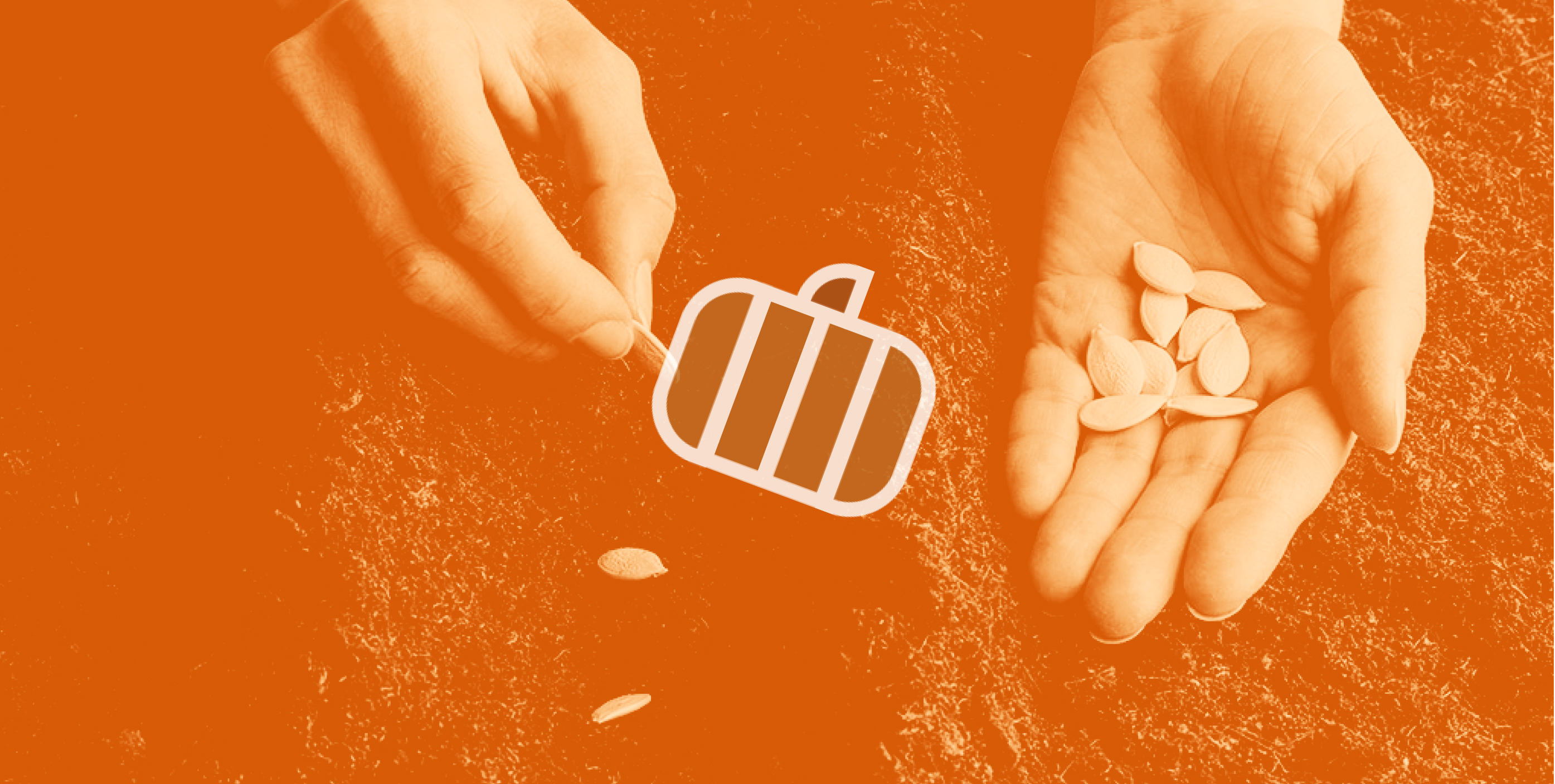 pumpkin seeds being planted