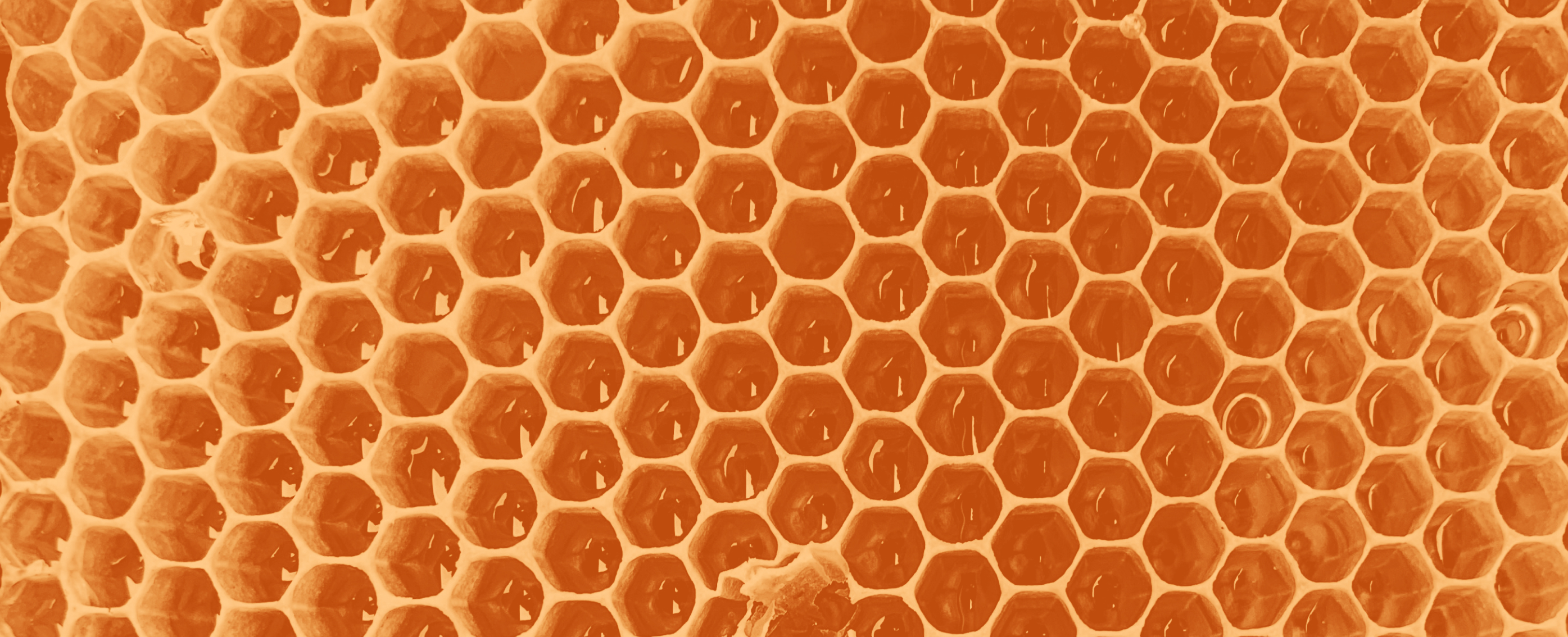 picture of honeycomb texture