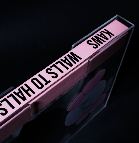 spine and front of kaws book design