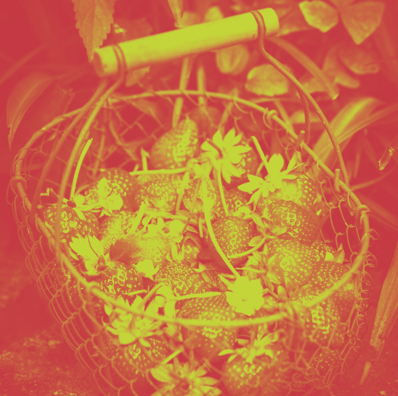 picture of a basket filled with strawberries